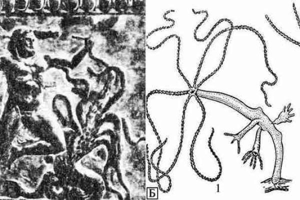 Kraken магазин