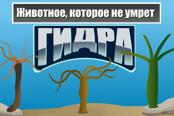 Kraken market зеркала