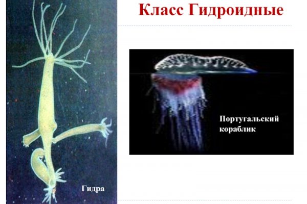 Kra12at