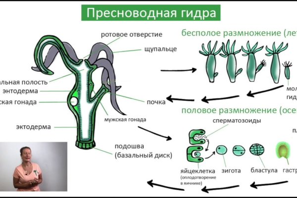 Ссылка на кракен kr2web in