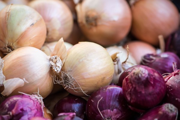 Kraken рабочее зеркало onion