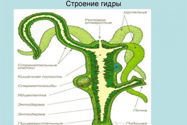 Ссылка на кракен kr2link co